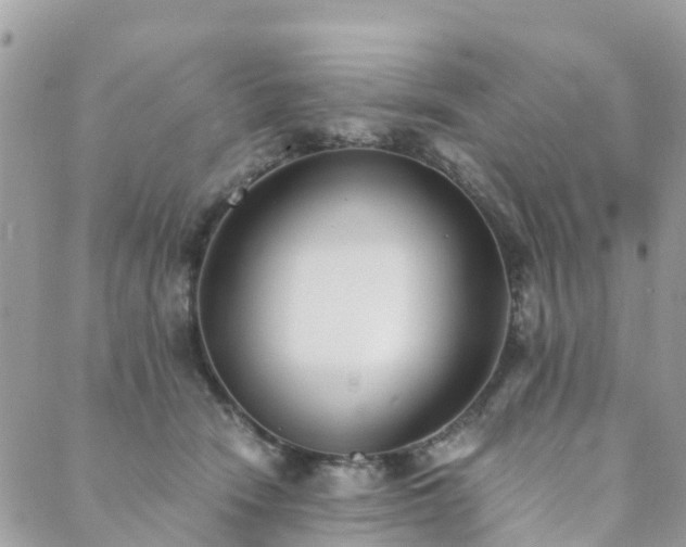 X0000089930466200706291202