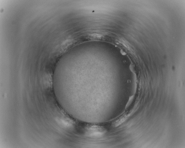 X0000089930467200706291202