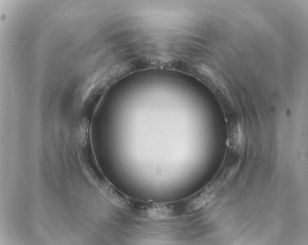 X0000089930468200706291202