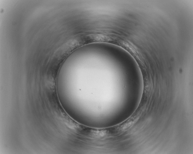 X0000089930469200706291202