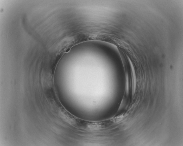 X0000089930470200706291202