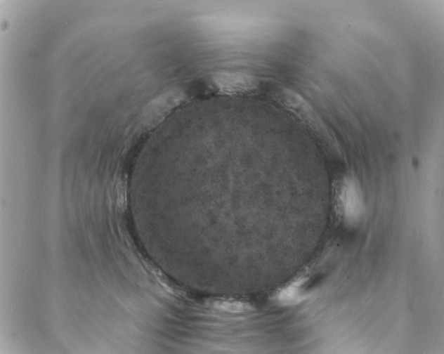 X0000089930471200706291202