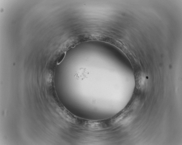 X0000089930472200706291202