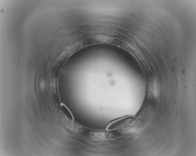 X0000089930473200706291202