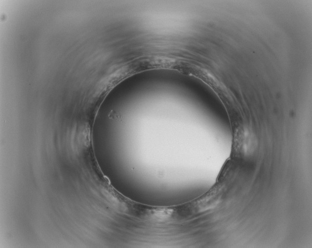 X0000089930474200706291202