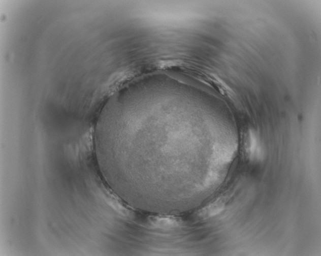 X0000089930475200706291202