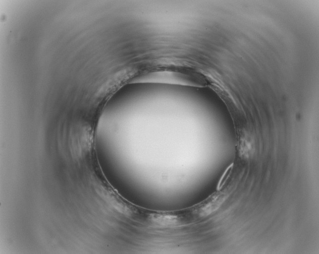 X0000089930476200706291202