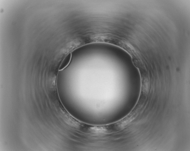 X0000089930477200706291202