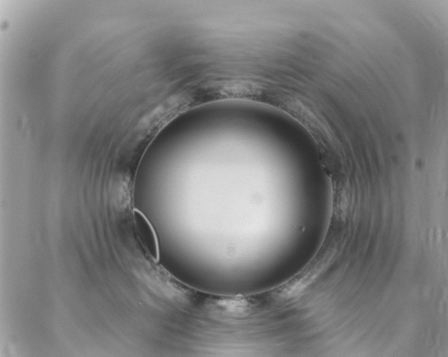 X0000089930478200706291202