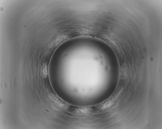 X0000089930479200706291202