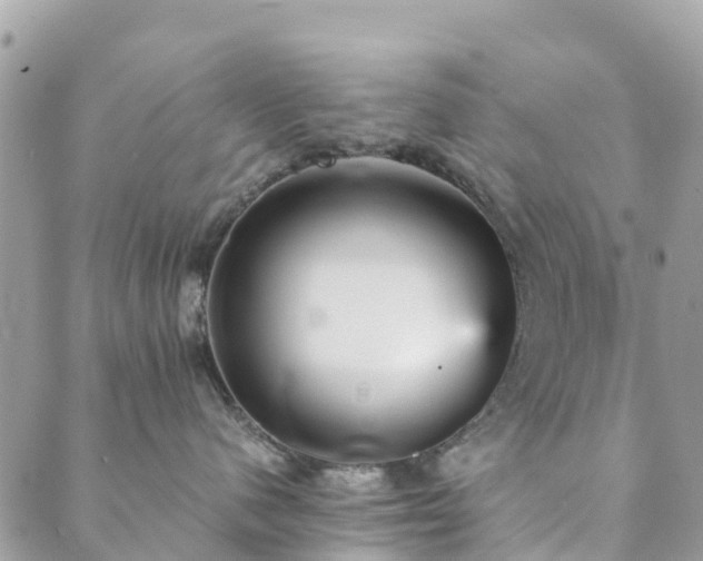 X0000089930480200706291202