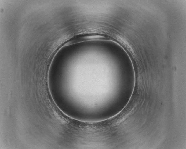 X0000089930481200706291201