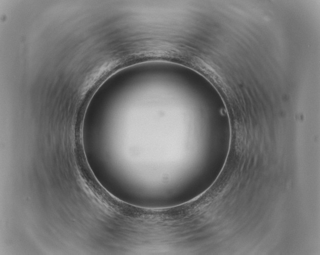 X0000089930482200706291201