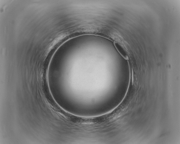 X0000089930483200706291201