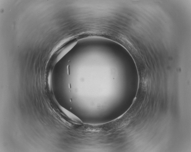 X0000089930484200706291201