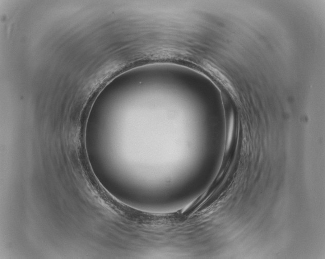 X0000089930485200706291201