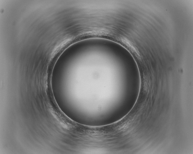 X0000089930486200706291201