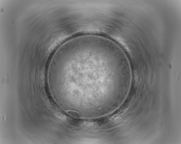 X0000089930487200706291201