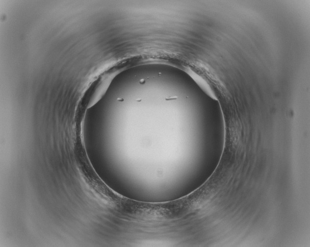 X0000089930488200706291201