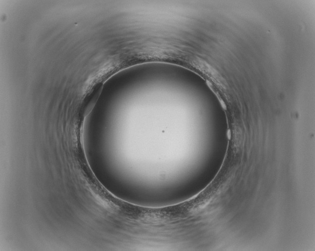 X0000089930489200706291201