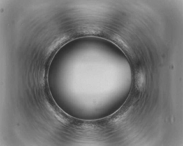 X0000089930490200706291201