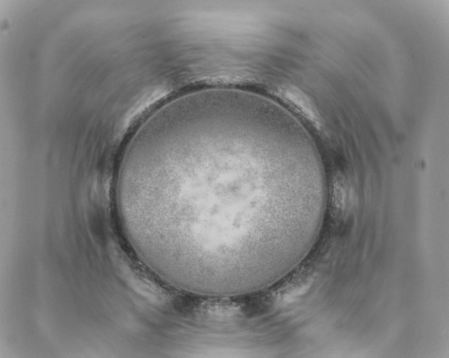 X0000089930491200706291201