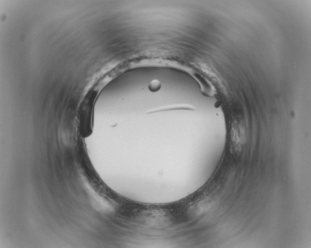 X0000089930492200706291201