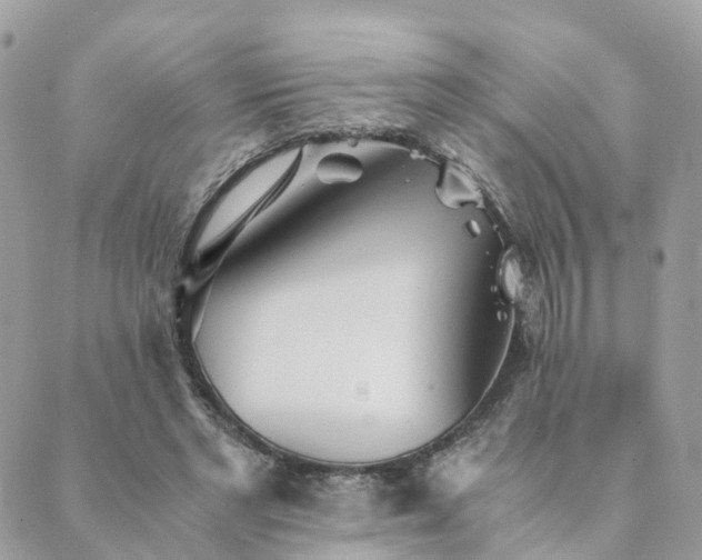 X0000089930493200706291201