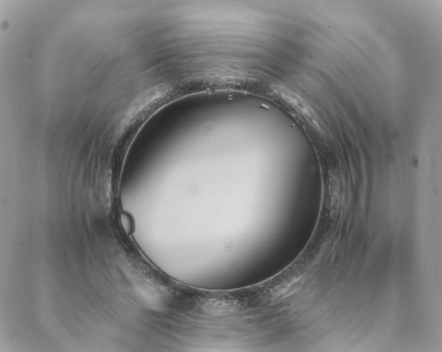 X0000089930494200706291201