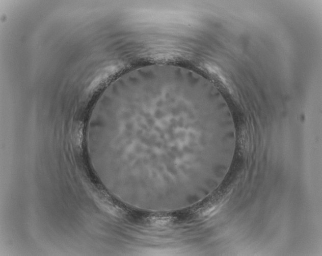 X0000089930495200706291201