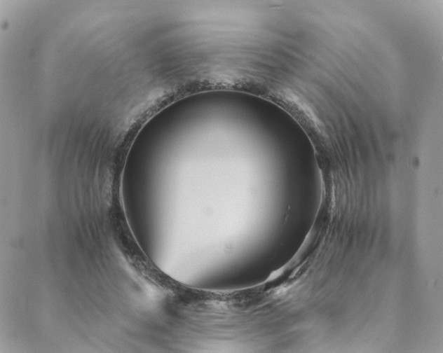 X0000089930496200706291201