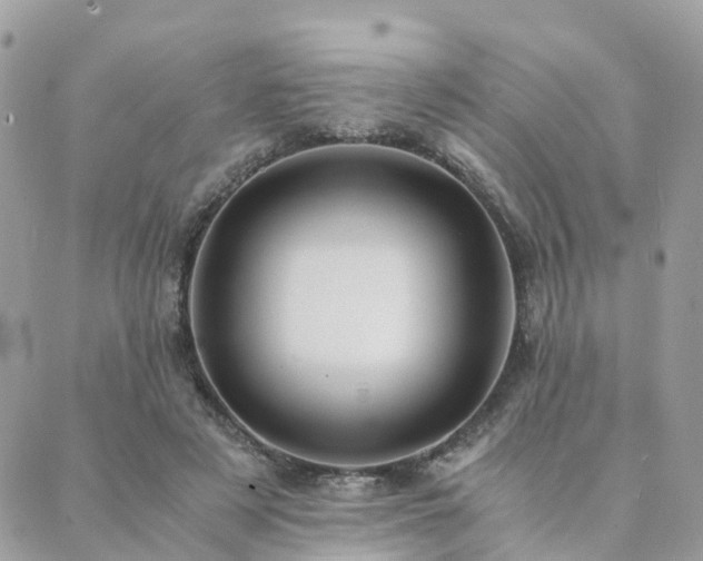 X0000089930497200706291201