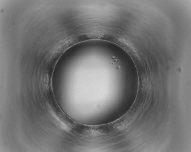 X0000089930498200706291201