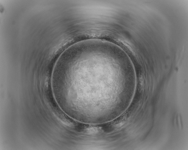 X0000089930499200706291201