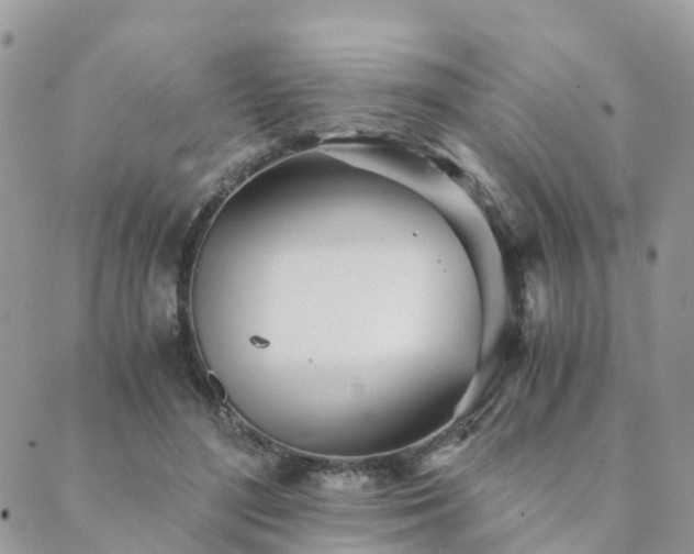 X0000089930500200706291201