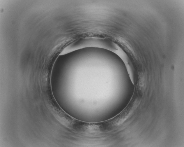 X0000089930501200706291201