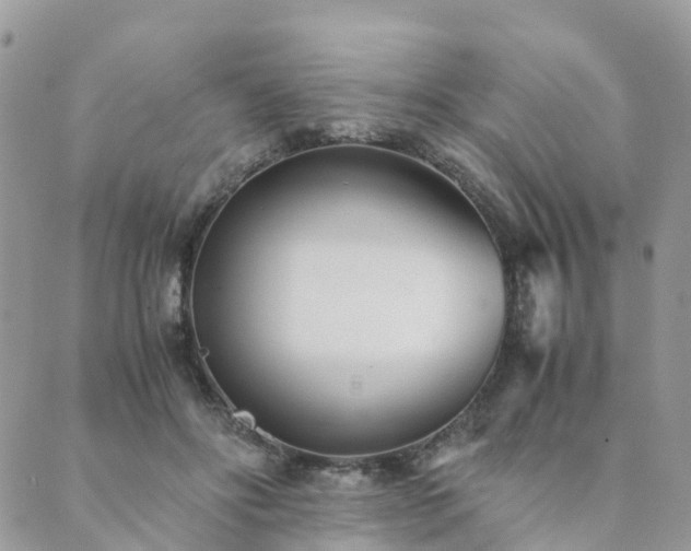 X0000089930502200706291201