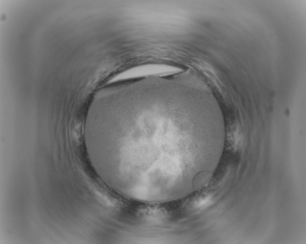 X0000089930503200706291201