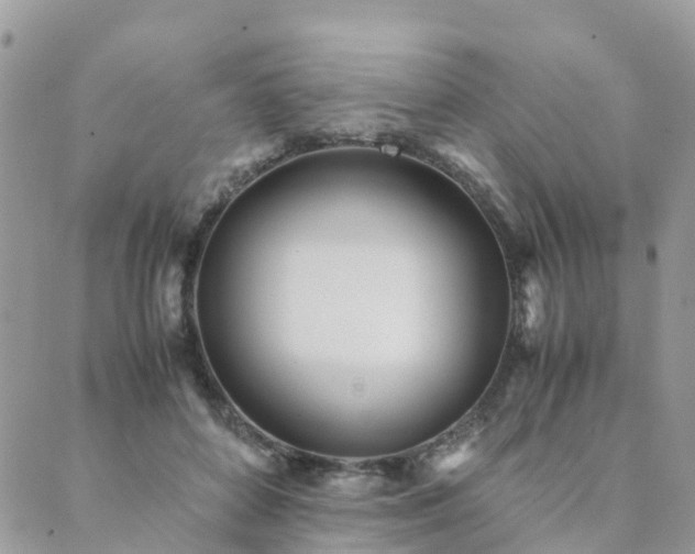 X0000089930504200706291201