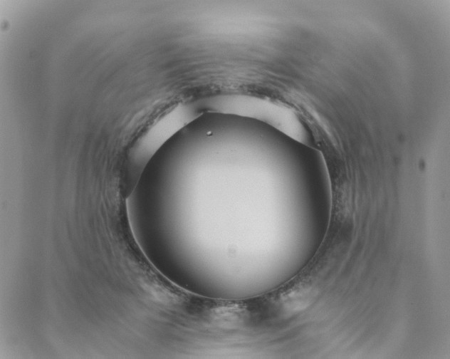 X0000089930505200706291201