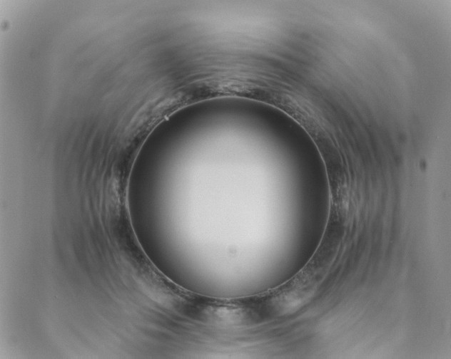 X0000089930506200706291201