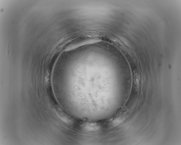 X0000089930507200706291201