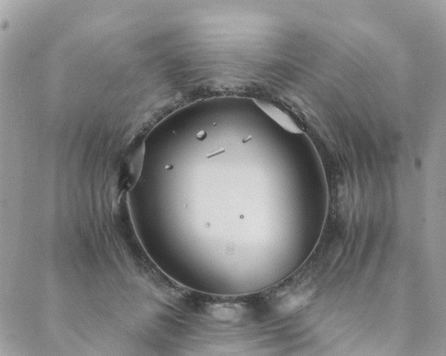 X0000089930508200706291201