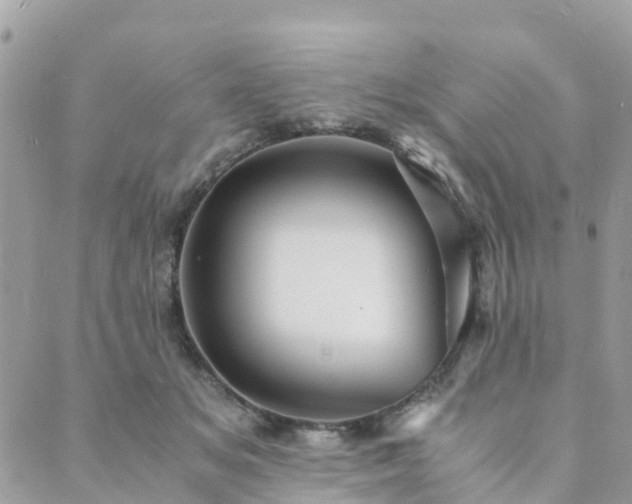 X0000089930509200706291201