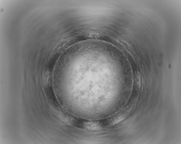 X0000089930511200706291201