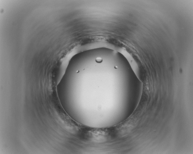 X0000089930512200706291201