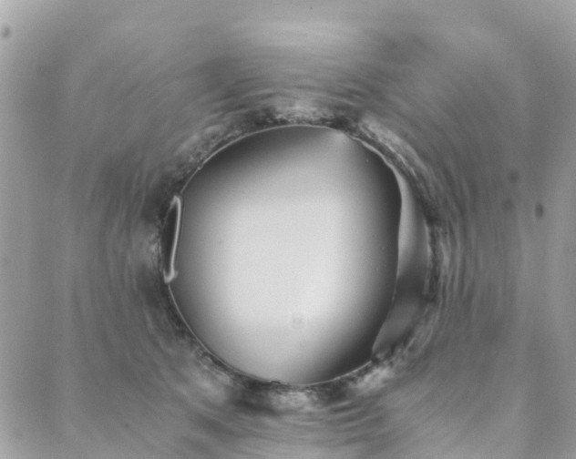 X0000089930513200706291201