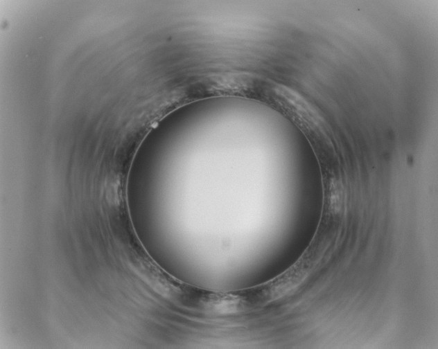 X0000089930514200706291201