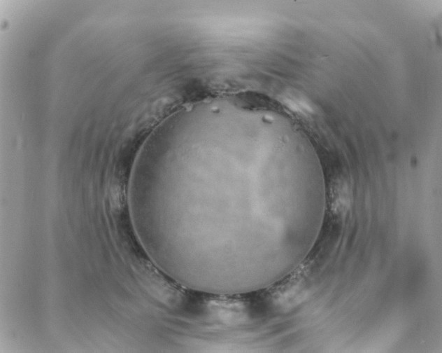 X0000089930515200706291201