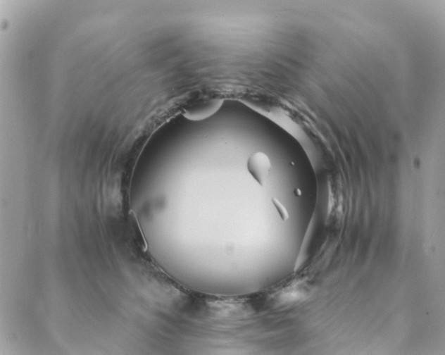 X0000089930516200706291201